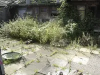 DSC08544.webp