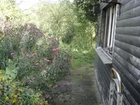 DSC08545.webp