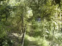 DSC08548.webp