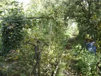 DSC08549.webp