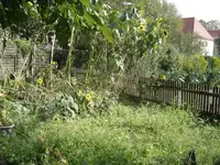 DSC08554.webp