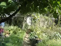 DSC08555.webp
