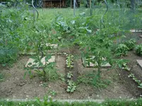 DSC02529.webp