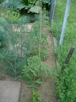 DSC02533.webp