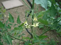 DSC02537.webp