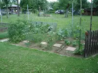 DSC02524.webp