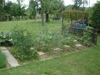 DSC02525.webp