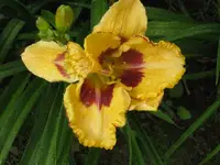 IMG_ab 400_800x600.webp
