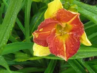 IMG_spanish fort_800x600.webp