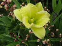 IMG_yamasitha_800x600.webp