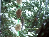 100_2704.webp