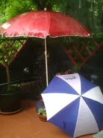 Regenwetter.25.06.2012.webp