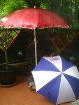 Regenwetter.25.06.2012.jpg