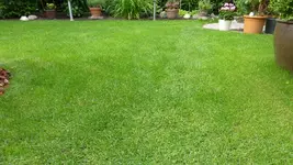 P1020291.webp
