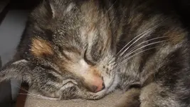 mai 076.webp