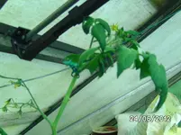 BILD0976.webp