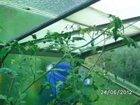 BILD0977.webp