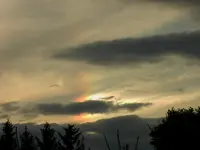 121.webp