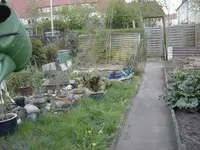 DSC09290.webp