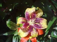 25062012022.webp