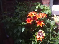 25062012023.webp