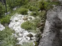 DSC09307.webp