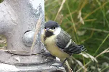 2012_0623Sommer0108.webp