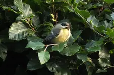 2012_0624Sommer0054.webp