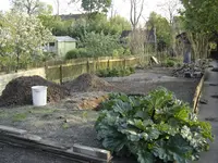 DSC09335.webp