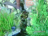BILD0979.webp