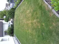 2012-06-25 19.53.48.webp
