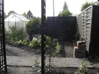 DSC09398.webp
