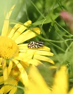 IMG_0596.webp