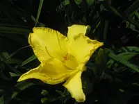 IMG_bells apealing_800x600.webp