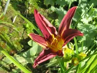 IMG_fragezeichen28_800x600.webp