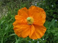 IMG_0085_1067x800.webp