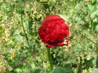 IMG_0090_1067x800.webp