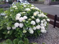 26062012645.webp