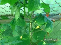 BILD0986.webp