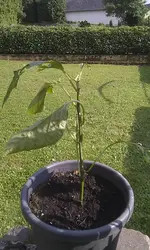 2012-06-26 18.00.53.webp