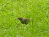 057.webp