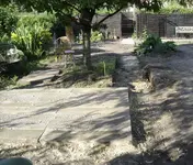 DSC09436.webp