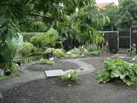 DSC09470.webp