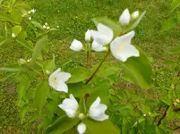 P1010401.webp
