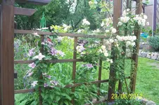 100_3319_7_1.webp