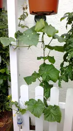 2012-06-25-439.webp