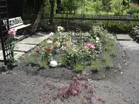 DSC09529.webp