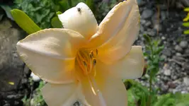 DSCN3174.webp