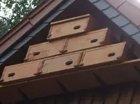 möglicher Brutkasten.webp