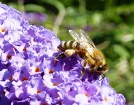 22. Zero - Dicke Beinchen.webp 22. Zero - Dicke Beinchen.webp